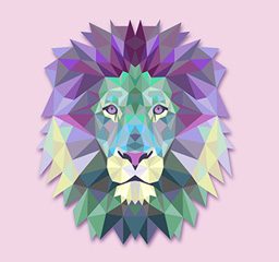 graphic design