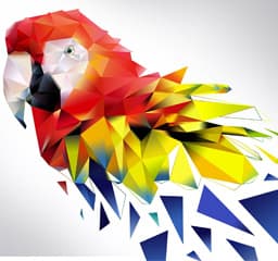 graphic design